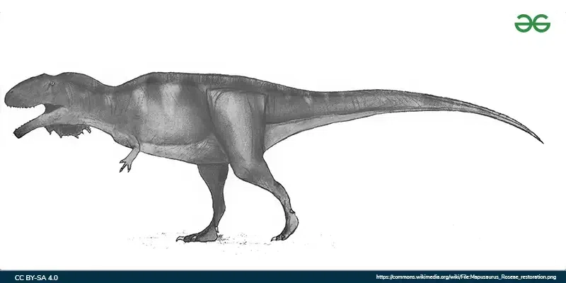 Mapusaurus