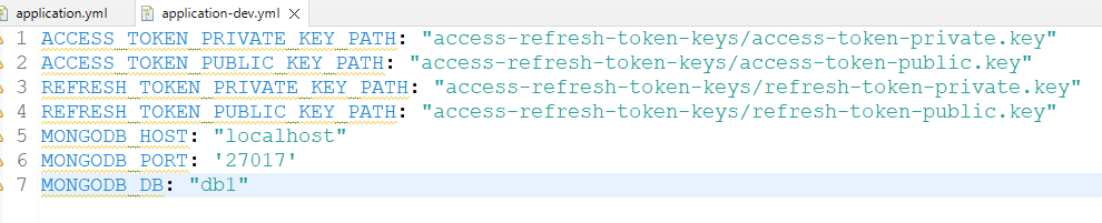 application-dev.yml file