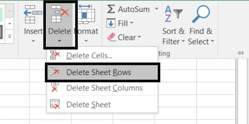 Go to Delete Option and Select Delete Sheet Rows