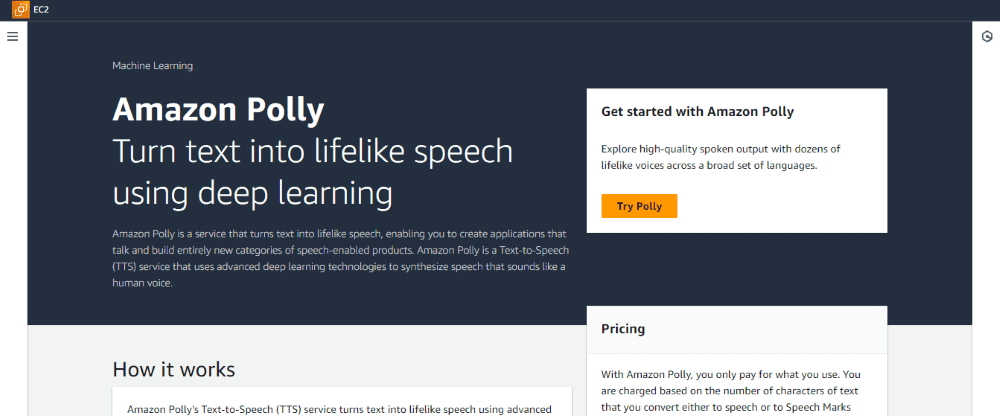 Amazon Polly Service