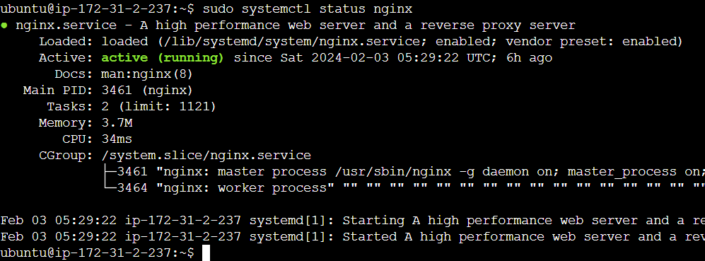 Ngnix Web Server running