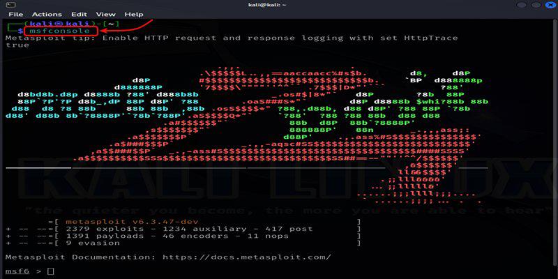 Launching Metasploit Framework