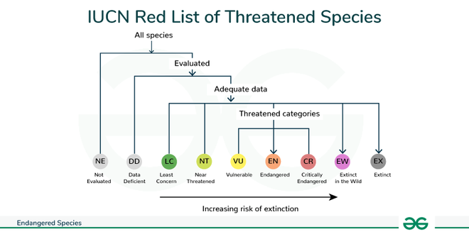 Endangered Species - Definition & List of Endangered Species ...