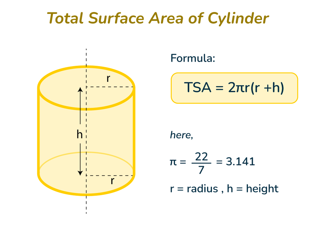 Surface Area Of Cylinder Curved And Total Surface Area Of Cylinder Surface Area Of Cylinder Curved And Total Surface Area Of Cylinder