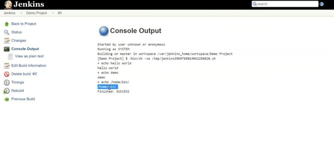 console-output