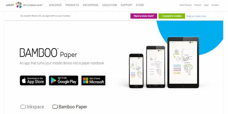 Bamboo Paper