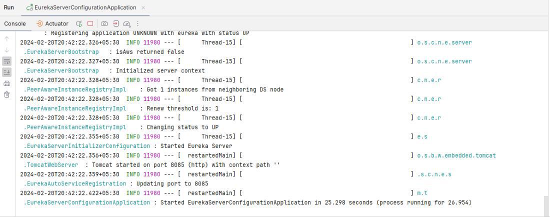 EurekaServer Application Runs