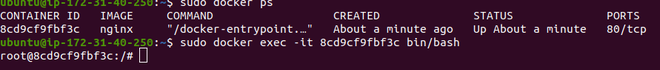 Docker exec - GeeksforGeeks