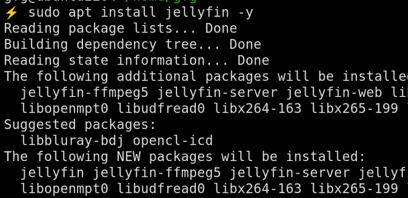 installing-Jellyfin-using-APT-Install