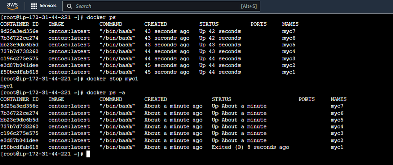 Docker Stop Command |A Complete Tutorial:Defnition,Syntax,Examples ...