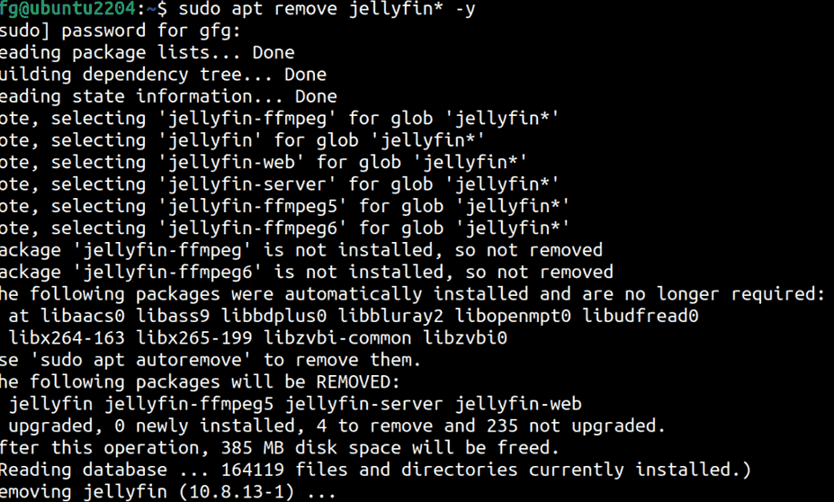 Removing-Jellyfin