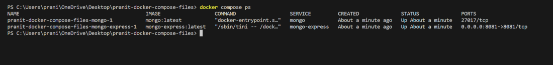 docker compose ps