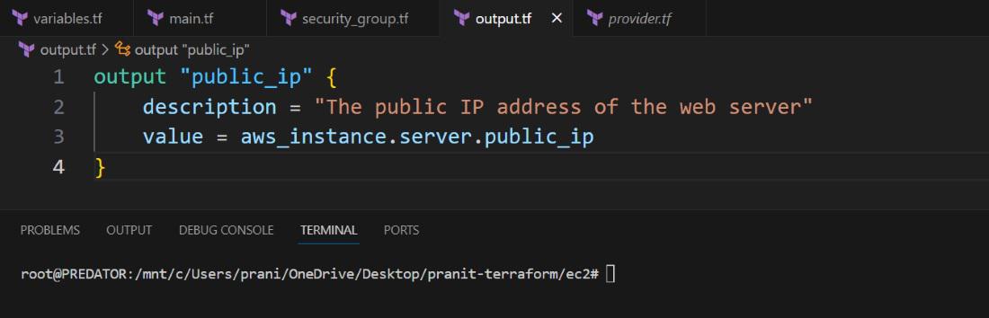 Defining the outputs in terraform file