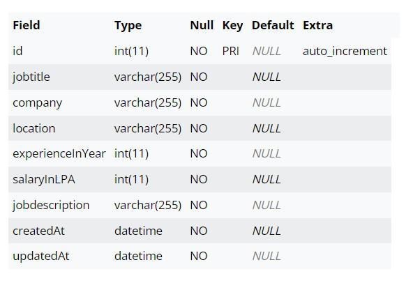 describe statement output