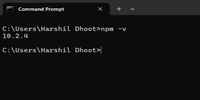 How to Install Node & Run NPM in VS Code? - GeeksforGeeks