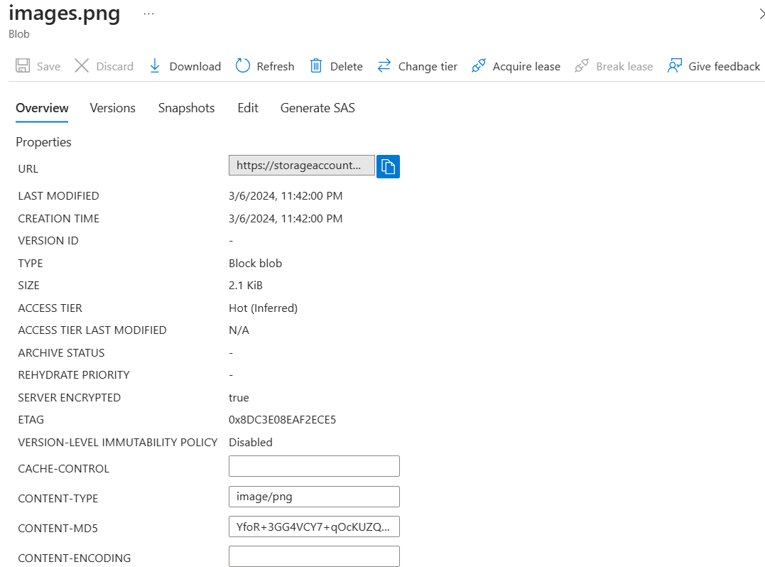 overviewing uploaded image