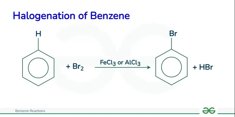 Halogenation-of-Benzene