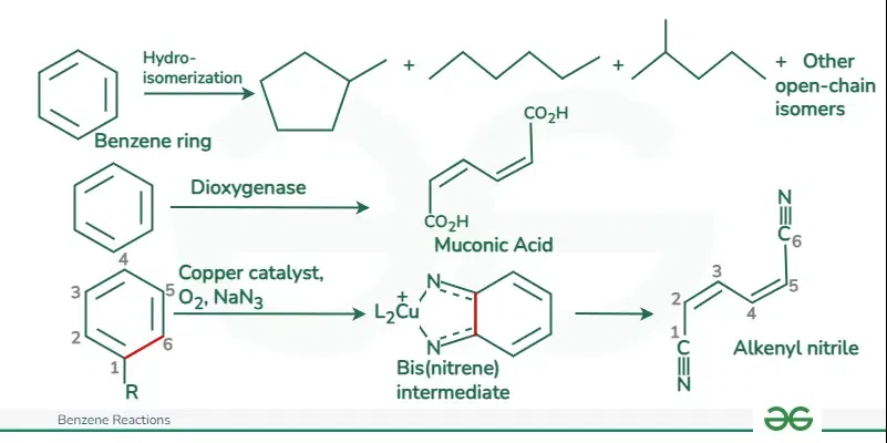 Benzene Ring Opening Reactions