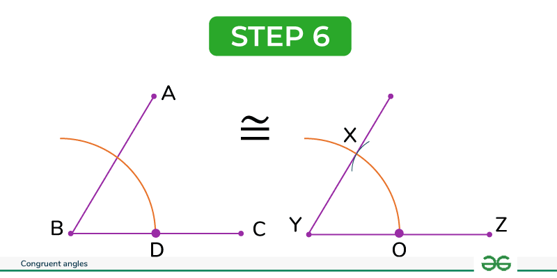 Congruent-angles-6