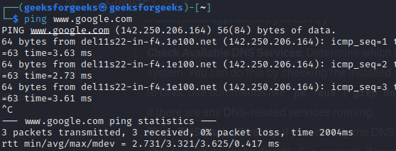 Verifying network connectivity 