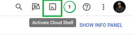 Using Cloud Shell