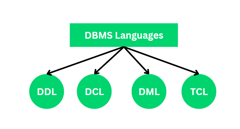 DBMS Languages