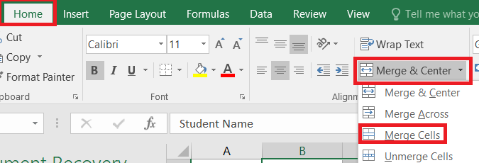 Step 3: Go to the Home Tab and Select Merge the selected cells