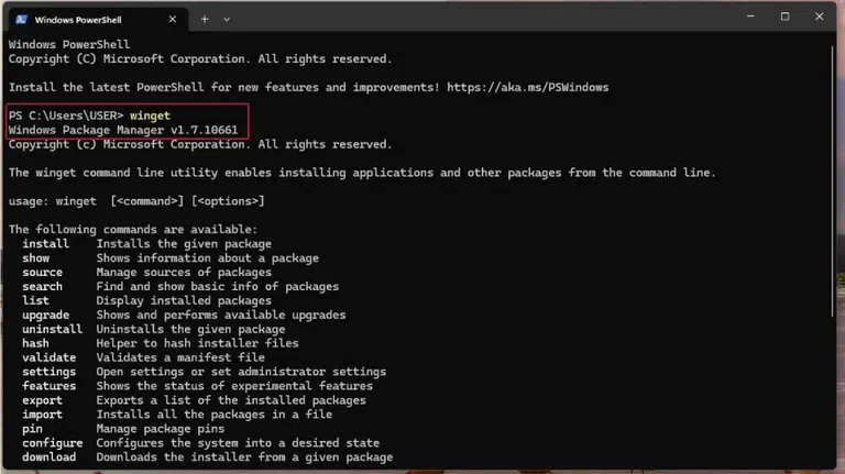 winget-command