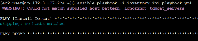 apply the ansible playbook 