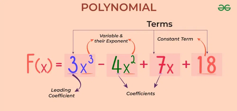 How to Teach Polynomial to Kids - GeeksforGeeks