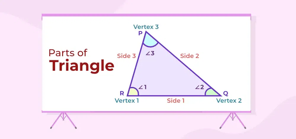 Properties of Triangle - types & formulas [Video & Practice]