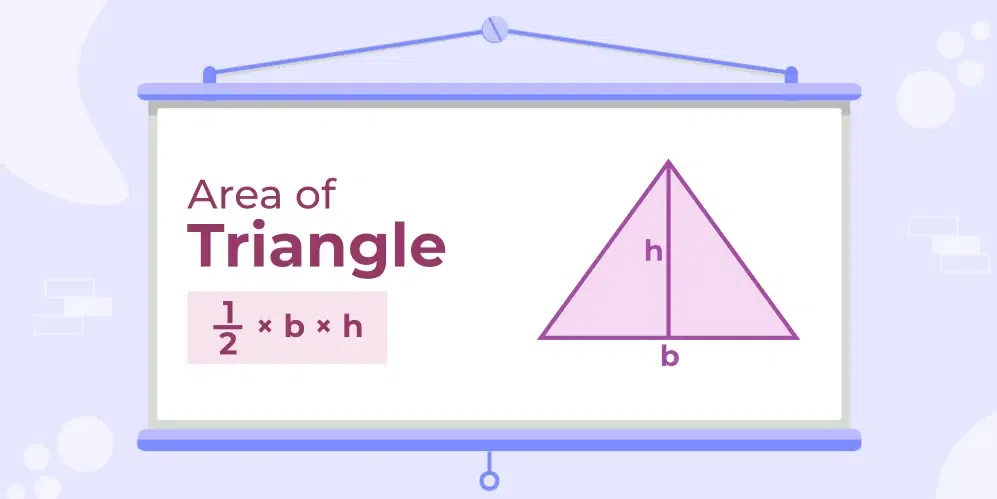 Properties of Triangle  Types and Formulas with Examples