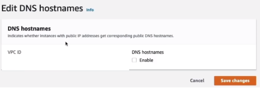 AWS Interface showing DNS hostnames settings