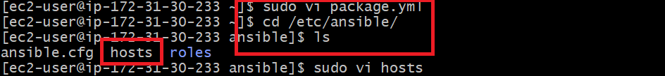 vi package.yaml