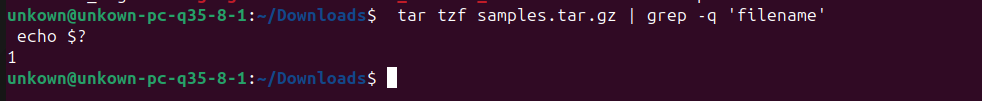 Checking if a File Exists in a Tar Gzipped Archive