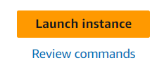 Click on Launch instance