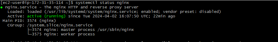 Checking the Status of Nginx Server