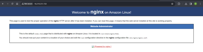 Successfully Running the Nginx Server