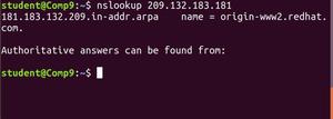 Nslookup Command in Linux with Examples - GeeksforGeeks