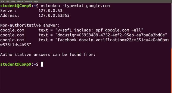 nslookup -type=txt google.com