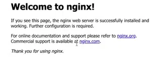 Nginx Server Webpage