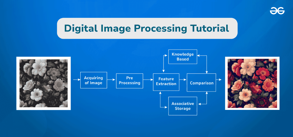 term paper topics on digital image processing