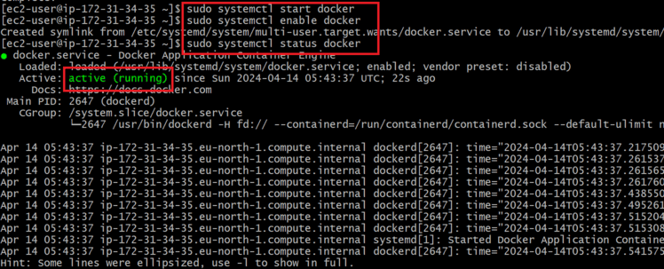 Starting The Docker