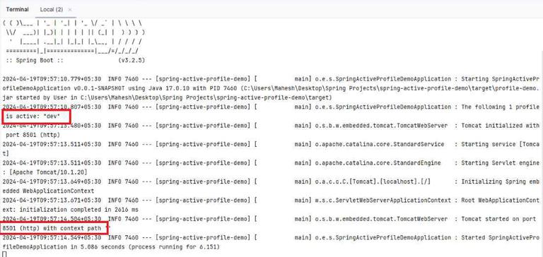 Setting Active Profile and Config Location from Command line in Spring ...