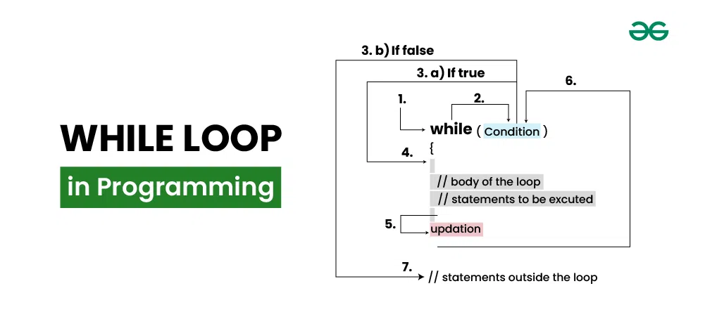 While loop in Programming