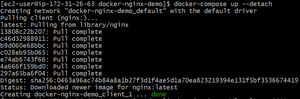 How to Configure NGINX in Docker Compose? - GeeksforGeeks