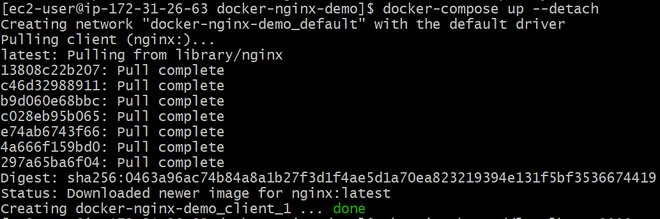 How to Configure NGINX in Docker Compose? - GeeksforGeeks
