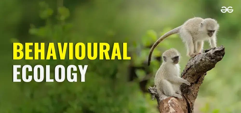 Behavioural-ecology