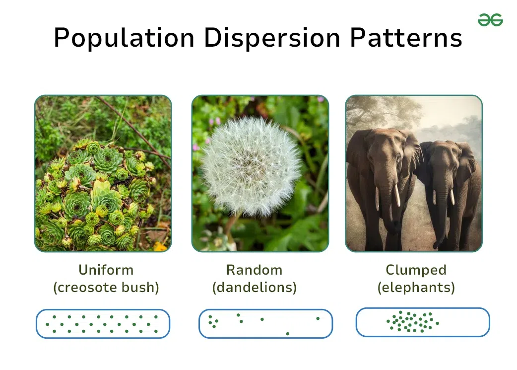 Population-Dispersion-Patterns-