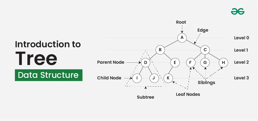 Introduction-to-tree-